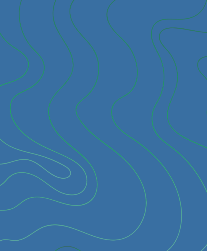Untitled design (74)